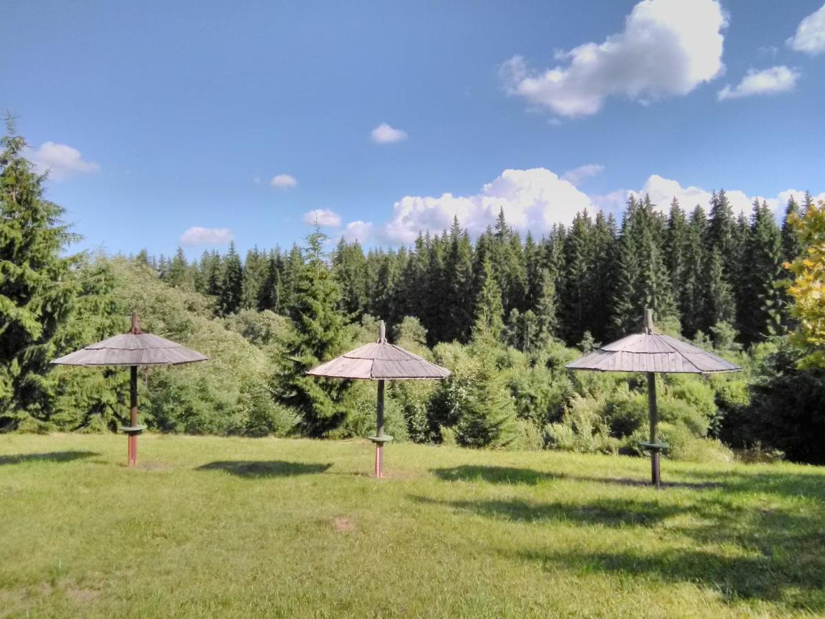Casa Paltin Vila Si Cabane Poiana Stampei Zewnętrze zdjęcie