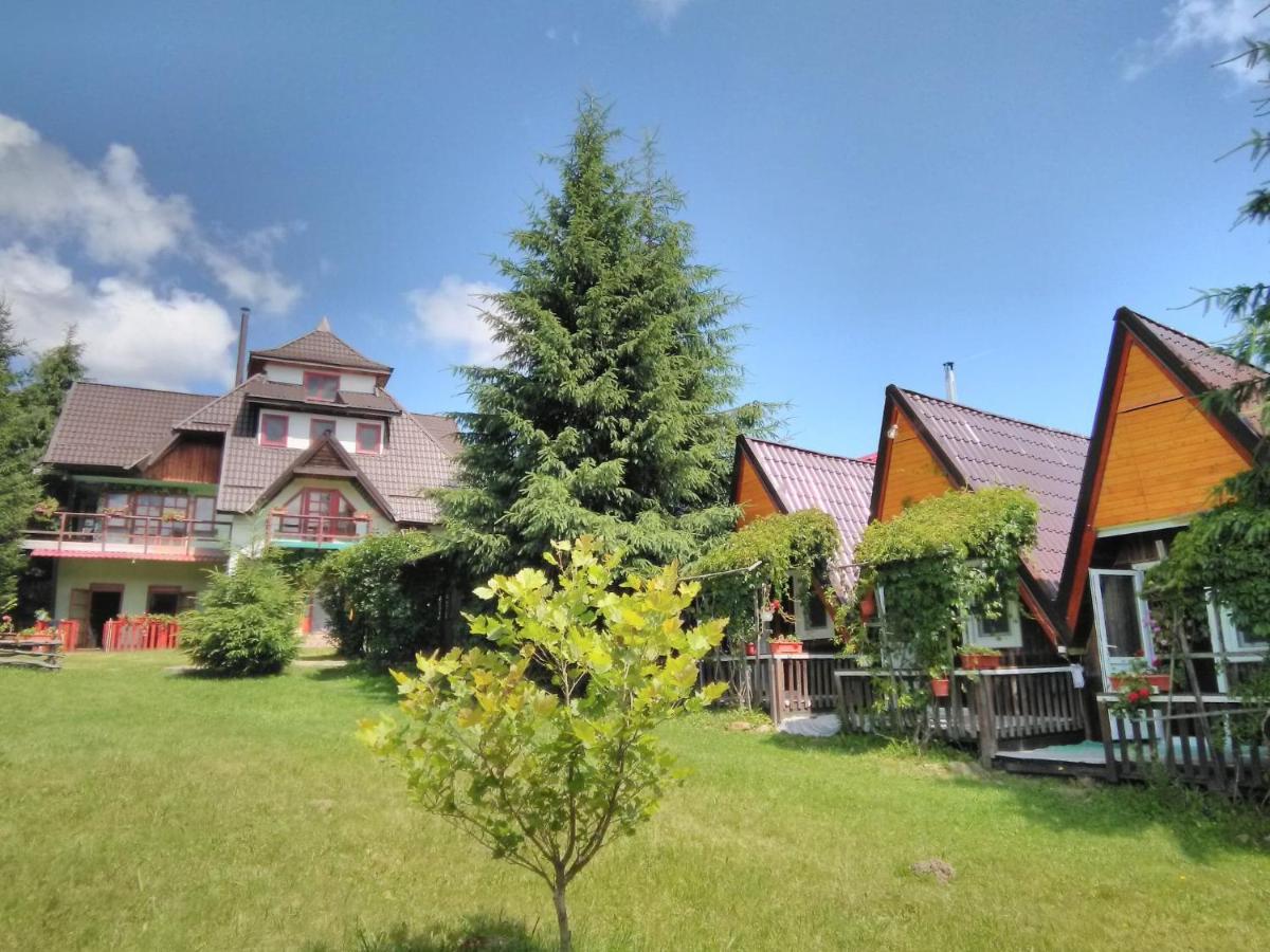 Casa Paltin Vila Si Cabane Poiana Stampei Zewnętrze zdjęcie