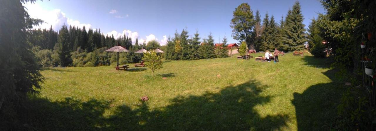Casa Paltin Vila Si Cabane Poiana Stampei Zewnętrze zdjęcie