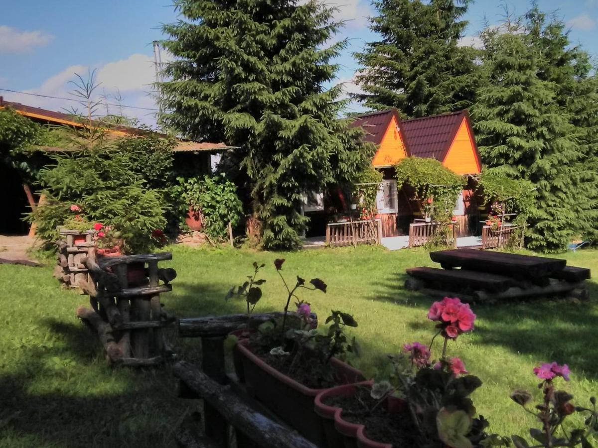 Casa Paltin Vila Si Cabane Poiana Stampei Zewnętrze zdjęcie