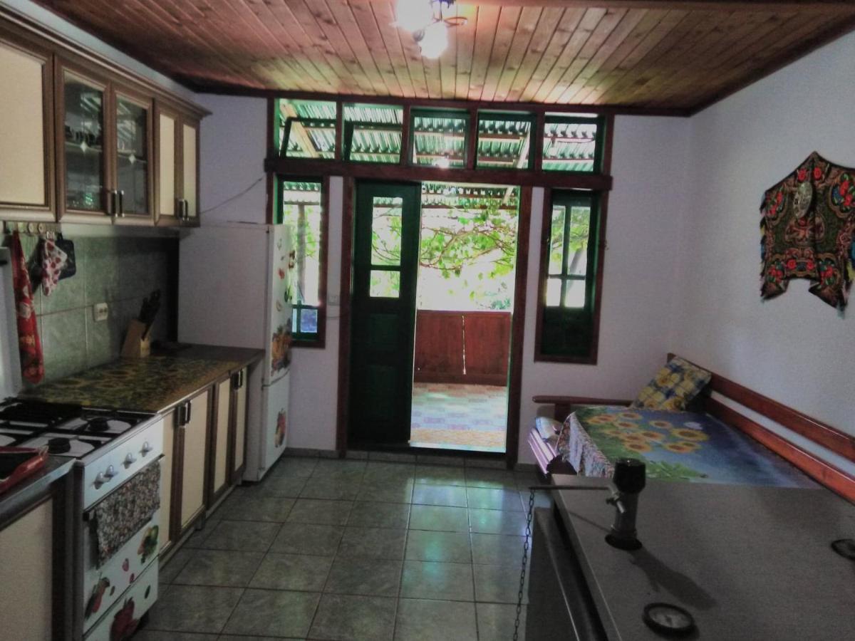 Casa Paltin Vila Si Cabane Poiana Stampei Zewnętrze zdjęcie