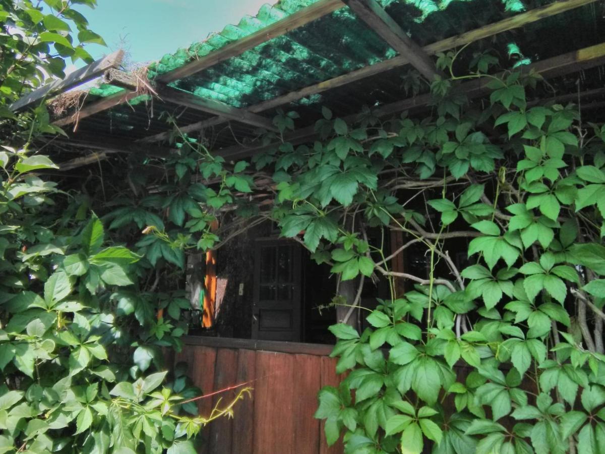 Casa Paltin Vila Si Cabane Poiana Stampei Zewnętrze zdjęcie