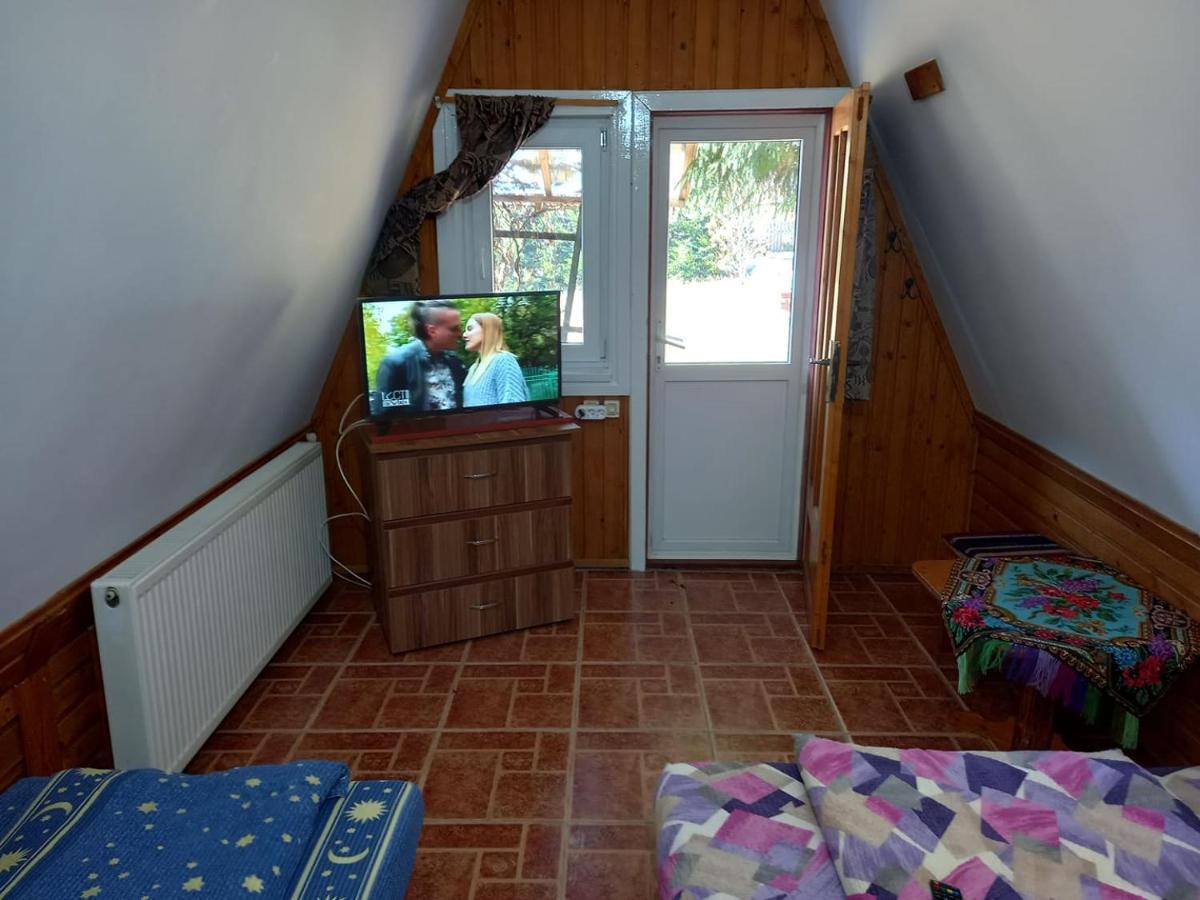 Casa Paltin Vila Si Cabane Poiana Stampei Zewnętrze zdjęcie