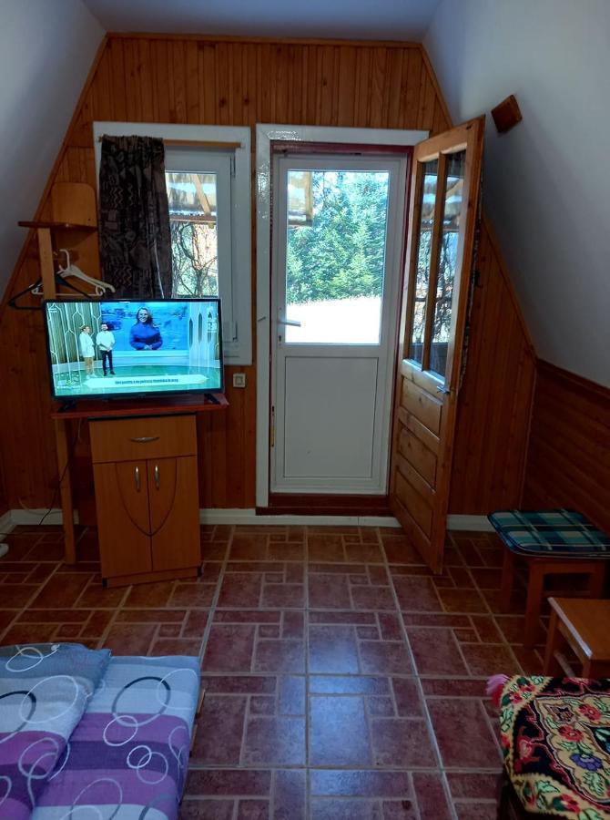 Casa Paltin Vila Si Cabane Poiana Stampei Zewnętrze zdjęcie