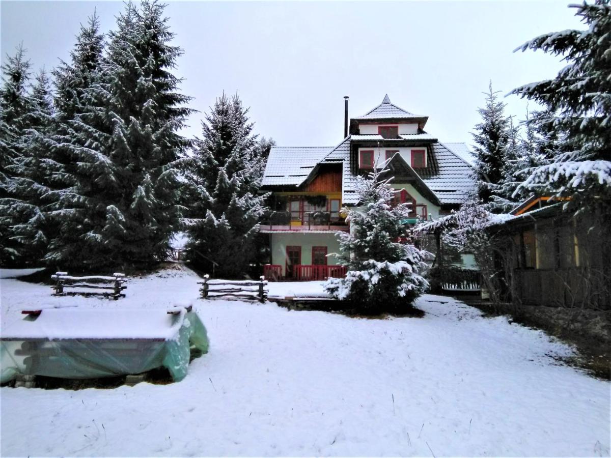 Casa Paltin Vila Si Cabane Poiana Stampei Zewnętrze zdjęcie