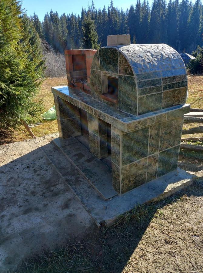 Casa Paltin Vila Si Cabane Poiana Stampei Zewnętrze zdjęcie