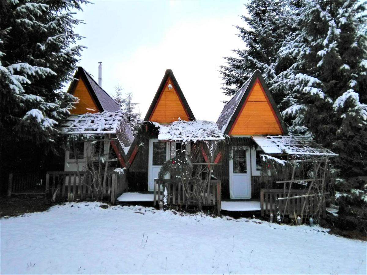Casa Paltin Vila Si Cabane Poiana Stampei Zewnętrze zdjęcie