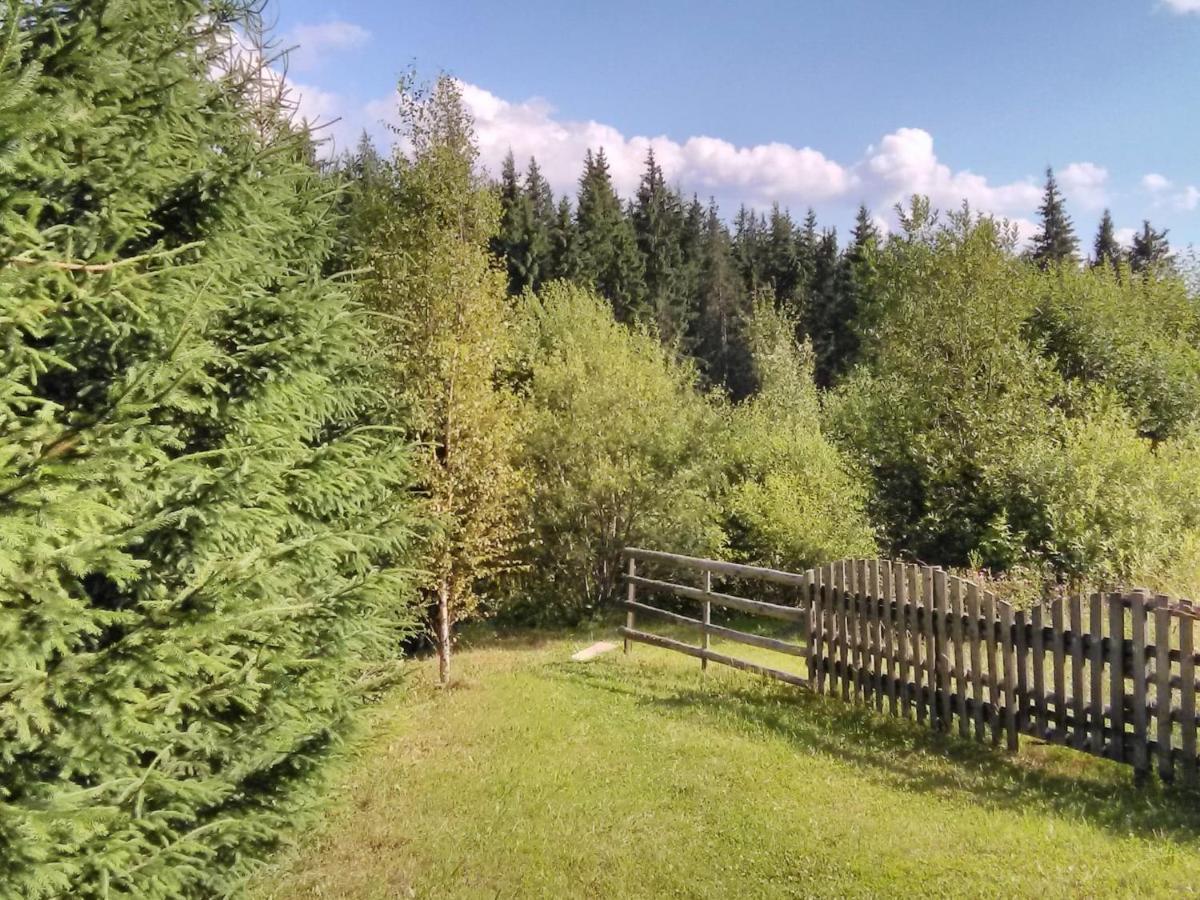 Casa Paltin Vila Si Cabane Poiana Stampei Zewnętrze zdjęcie