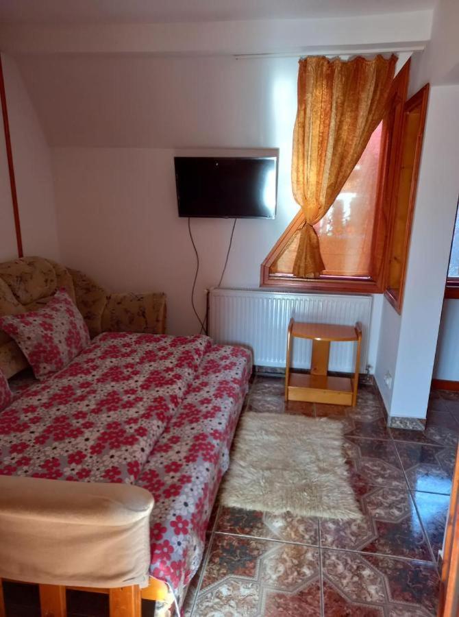 Casa Paltin Vila Si Cabane Poiana Stampei Zewnętrze zdjęcie