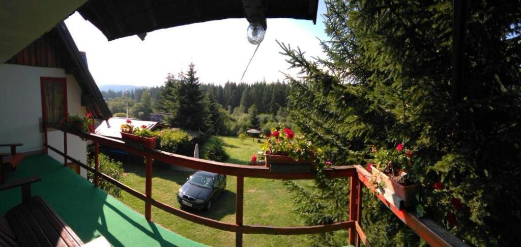 Casa Paltin Vila Si Cabane Poiana Stampei Zewnętrze zdjęcie